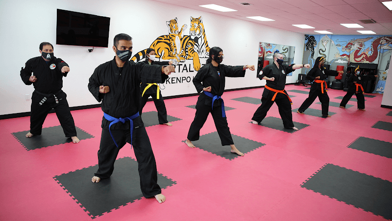 Immortal Martial Arts Academy