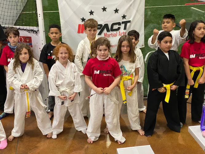 Impact Martial Arts Austin TX