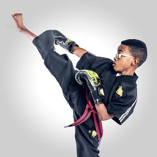Premier Martial Arts Allandale