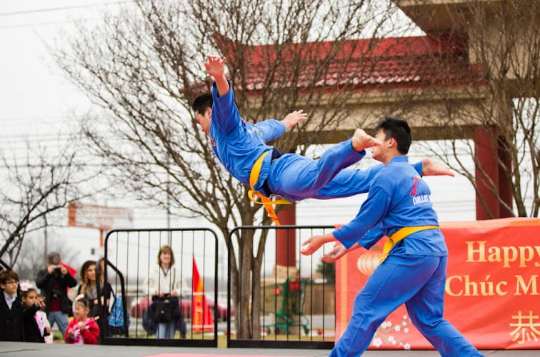 Texas Vovinam Viet Vo Dao federation LLC